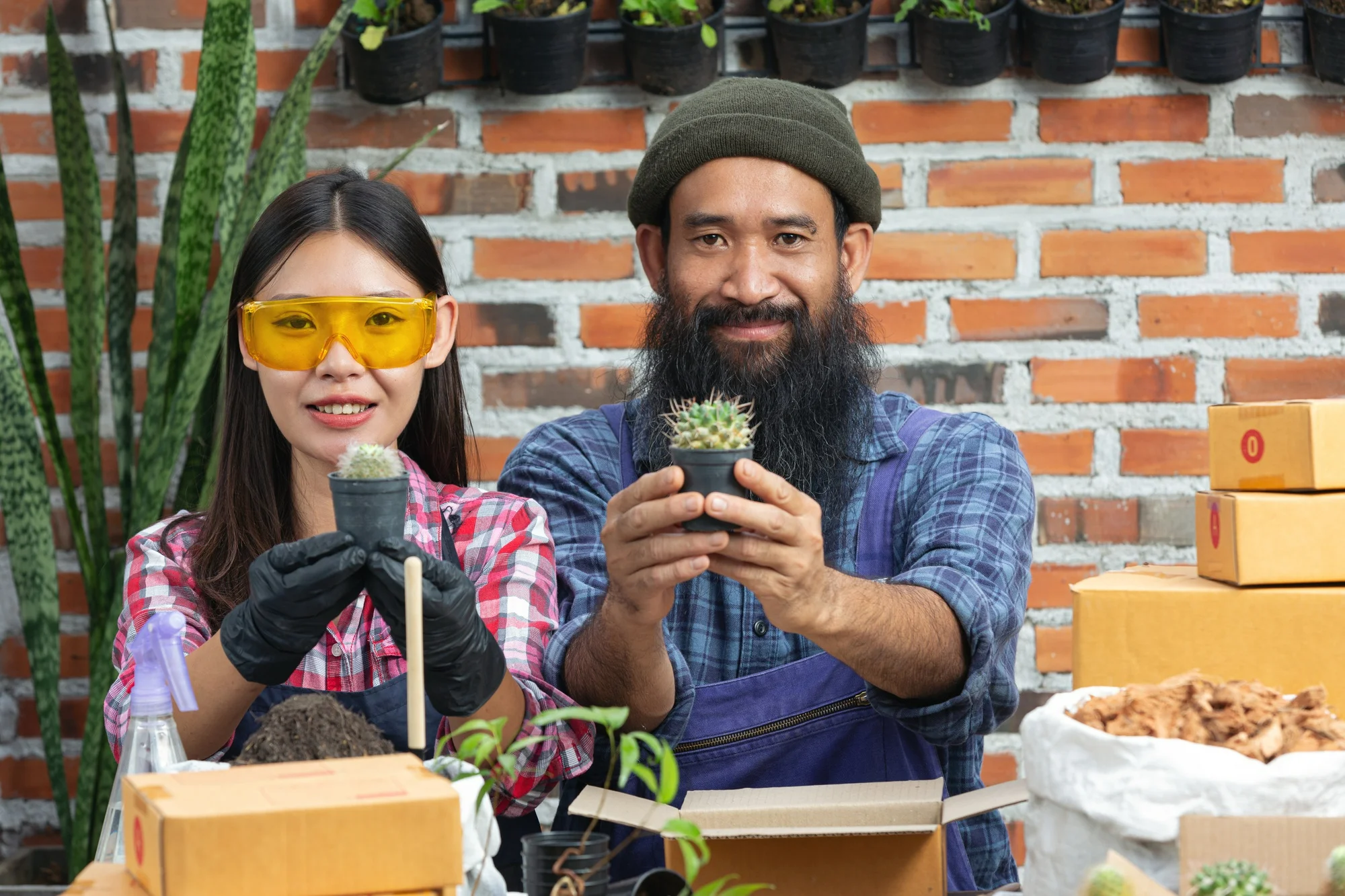 Digital marketing for small businesses with low budget